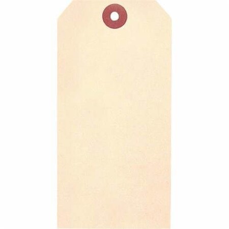 Accuform Blank Tag, 258 in Width, 514 in Height, 13 PT Cardstock, Manila, 316 in Hole TBB116P